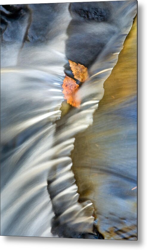 Fall Leaves Metal Print featuring the photograph Autumn Color Caught in Time #2 by John Magyar Photography