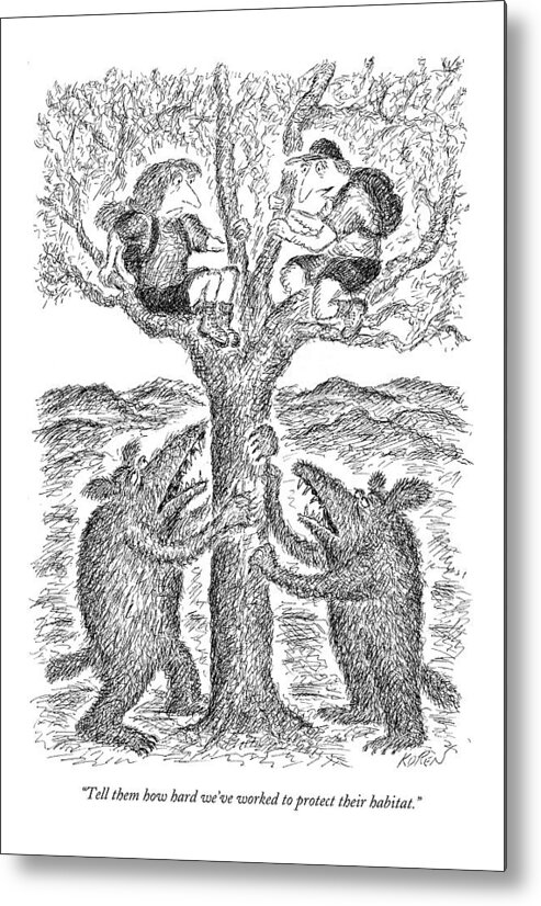 Nature Wild Animals Eko Edward Koren

(two Hikers Chased Up A Tree By Large Animals.) 122205 Metal Print featuring the drawing Tell Them How Hard We've Worked To Protect by Edward Koren