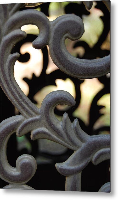 Garden Art Metal Print featuring the photograph Untitled by Jani Freimann