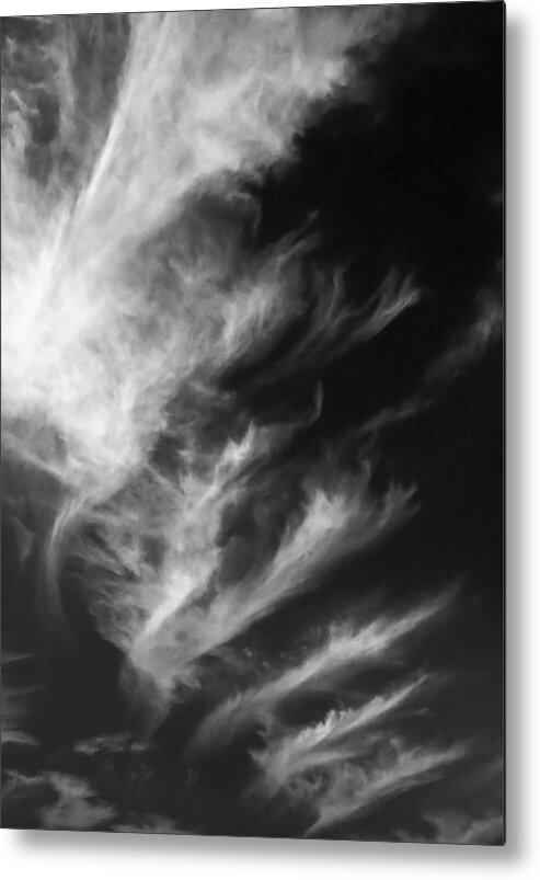 Sky Metal Print featuring the photograph A Chord of Clouds by Dwight Theall