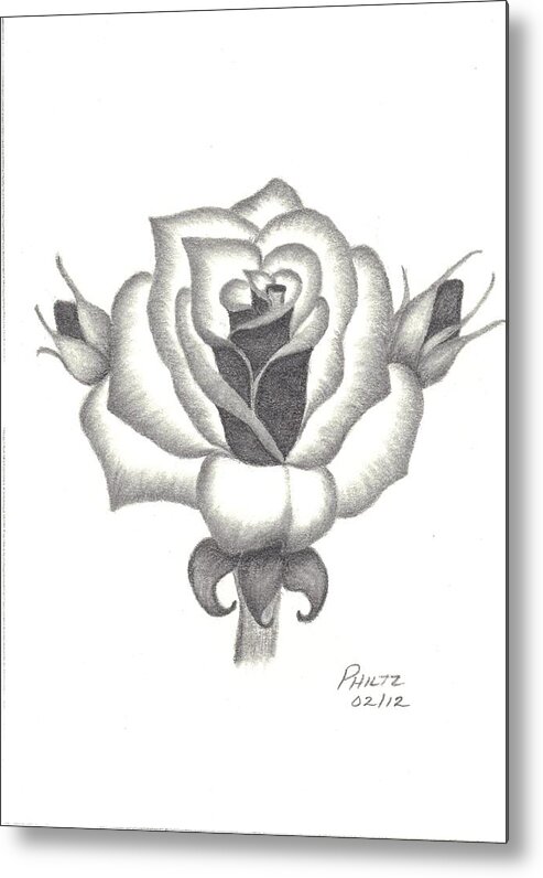 Rose Metal Print featuring the drawing A Rose by Patricia Hiltz