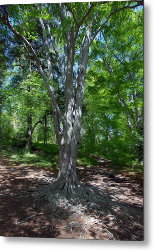 Tree Metal Print featuring the digital art Aging Gracefully by Kelvin Booker