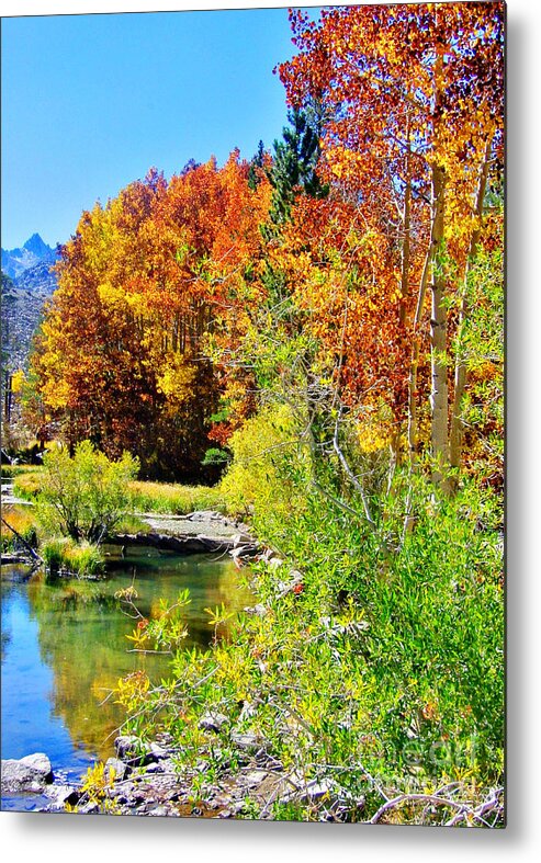 Autumn Metal Print featuring the photograph Autumn Days by Marilyn Diaz