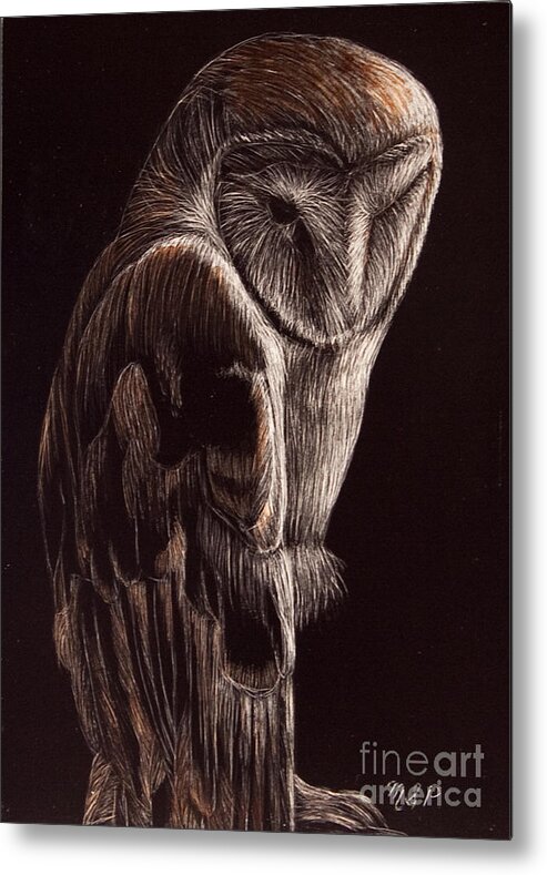 Barn Owl Metal Print featuring the photograph Barn Owl by Margaret Sarah Pardy
