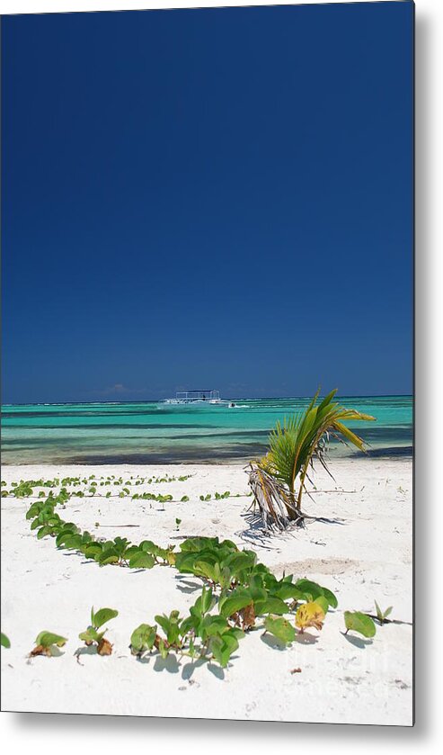 Beach Blue Caribbean Boat Green Plant Playa Blanca Punta Cana Dominican Republic Ocean Palm Republica Dominicana Resort Sand Sea Sky Sun Tree Turquoise Vine Vegetation Vertical Water White Water Wave Metal Print featuring the photograph Beach and Vegetation Playa Blanca Punta Cana Resort by Heather Kirk