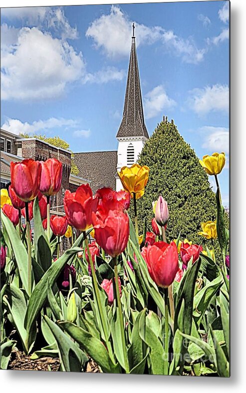 Spring Metal Print featuring the photograph Beauteous Spring by Janice Drew