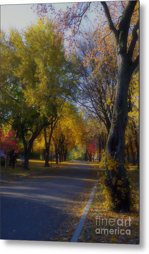 Soft Metal Print featuring the photograph Beautiful Autumn by Frank J Casella