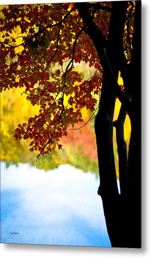 Landscape Metal Print featuring the photograph Beneath the Leaves by Crystal Wightman