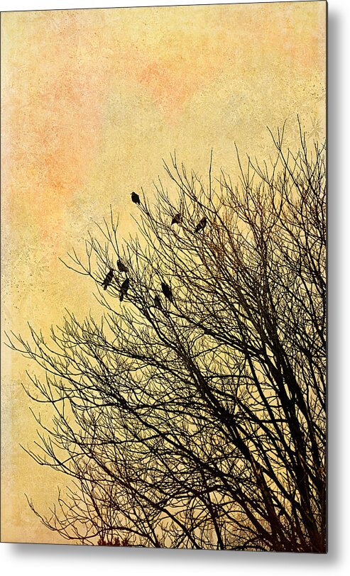 Birds Metal Print featuring the photograph Birds by Gynt