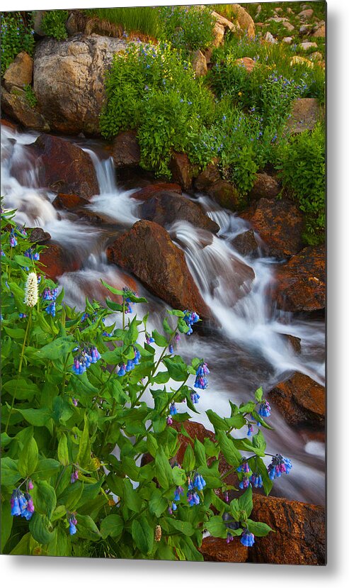 Stream Metal Print featuring the photograph Bluebell Creek by Darren White
