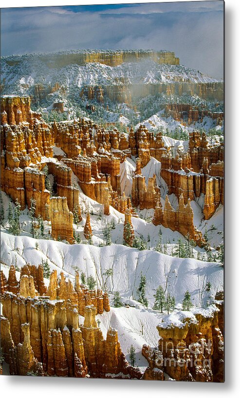 America Metal Print featuring the photograph Bryce Winter Morning by Inge Johnsson