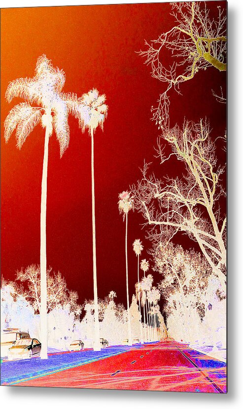 Palm Metal Print featuring the photograph California Dreamin' Dreamin' 1 by Robert J Sadler