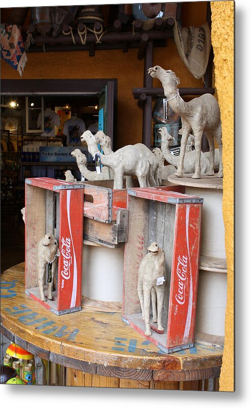 Tampa Bay Metal Print featuring the photograph Camel Cola by David Nicholls