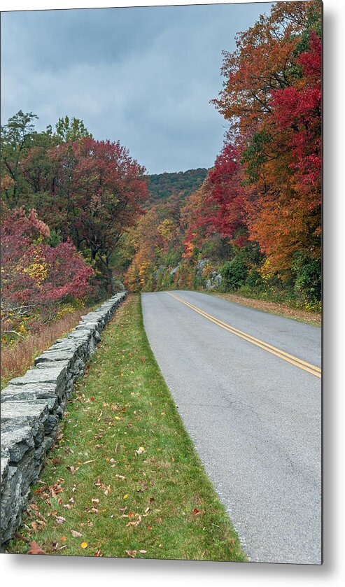 Blue Ridge Parkway Metal Print featuring the photograph Color On The Blue Ridge Parkway  NC by Willie Harper