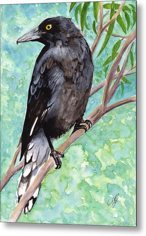 Australia Metal Print featuring the painting Currawong by Anne Gardner