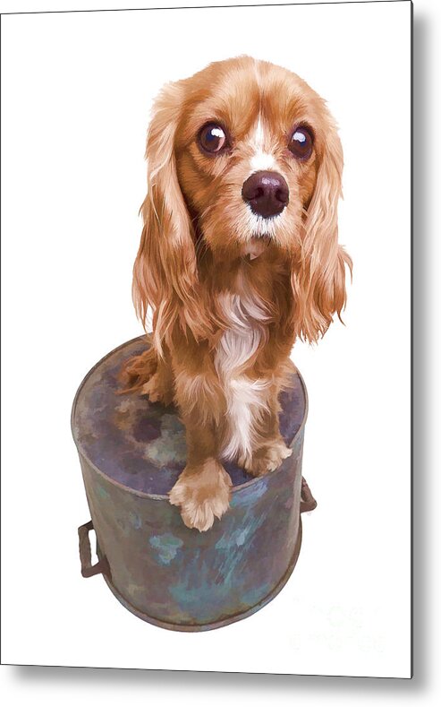 Puppy Metal Print featuring the photograph Cute Puppy Card by Edward Fielding