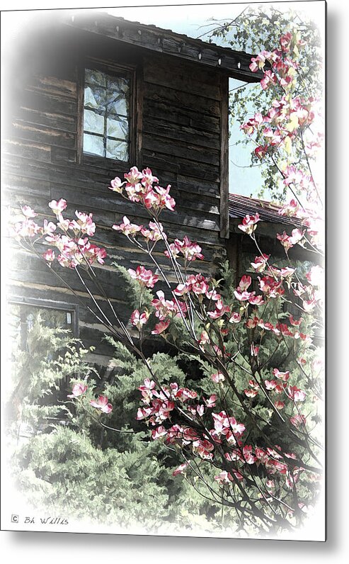 Dogwood Tree Metal Print featuring the photograph Dogwood by Bonnie Willis