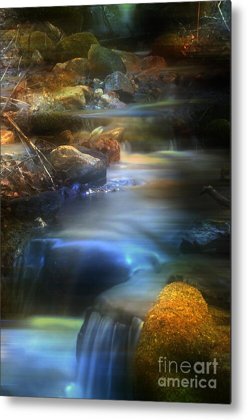 Creek Metal Print featuring the photograph Dreaming by Loni Collins