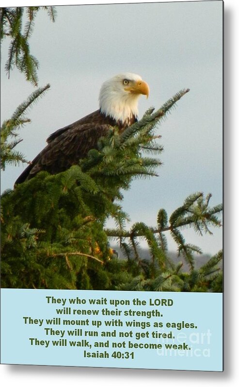Eagle Metal Print featuring the photograph Eagle with verse 1 by Gallery Of Hope 
