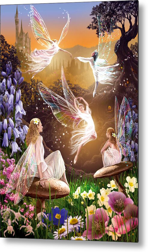 Fairies Metal Print featuring the photograph Fairy Ballet by MGL Meiklejohn Graphics Licensing