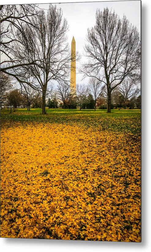 Washington Metal Print featuring the photograph Fall in Washington by Ross Henton