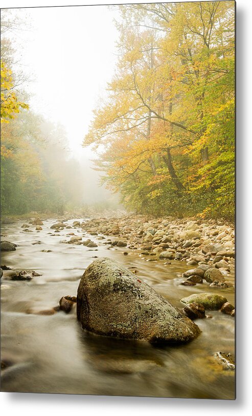 Gilead Metal Print featuring the photograph Fall on Evans Brook by Gordon Ripley