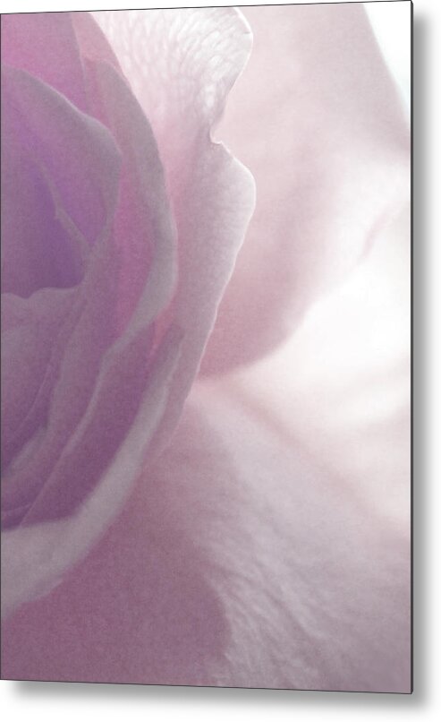 Soft Metal Print featuring the photograph Feeling Sensitive by The Art Of Marilyn Ridoutt-Greene