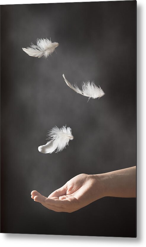Floating Metal Print featuring the photograph Floating Feathers by Amanda Elwell