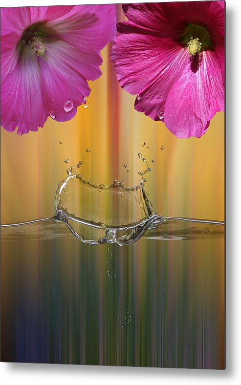 Water Metal Print featuring the photograph Floral Splash by Bill and Linda Tiepelman
