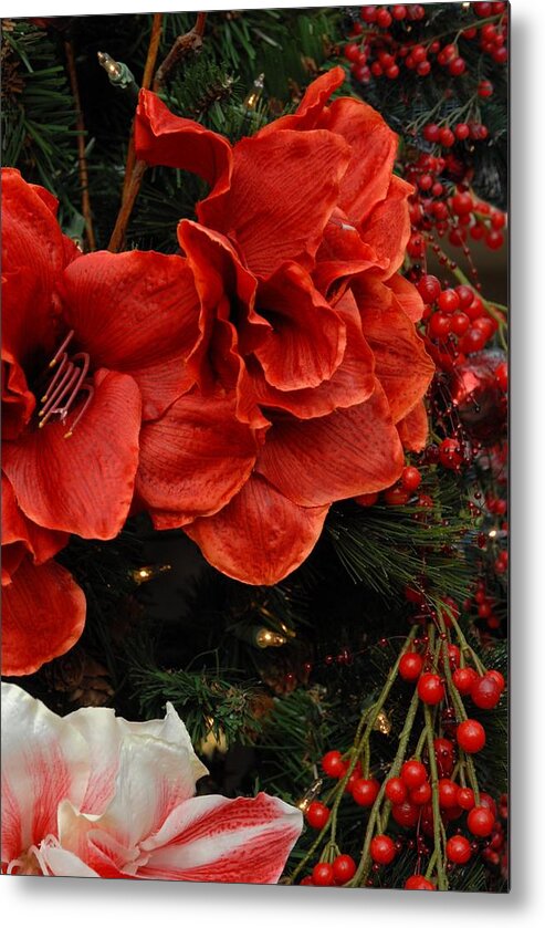 Amaryllis Metal Print featuring the photograph Flowers 554 by Joyce StJames