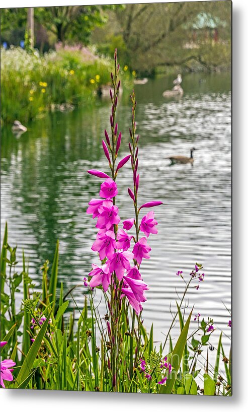 Bird Metal Print featuring the photograph Flowers at the Lake by Kate Brown