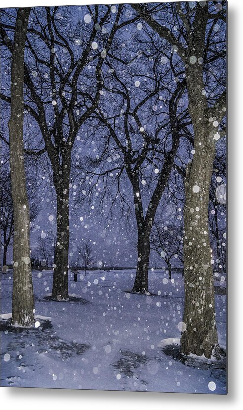 Color Metal Print featuring the photograph Flurries and trees by Arkady Kunysz