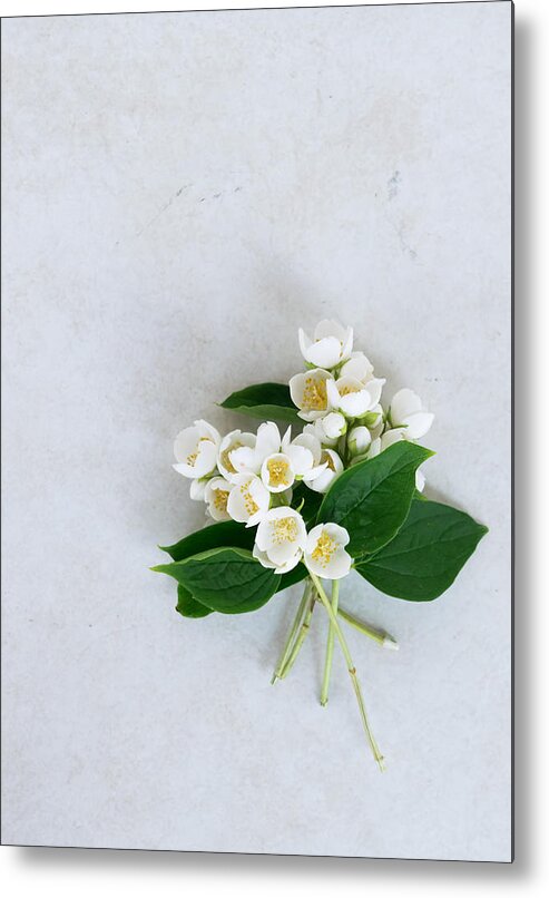 Bud Metal Print featuring the photograph Fresh jasmine flowers (Leaves, white flowers and buds) by by Elena Botta