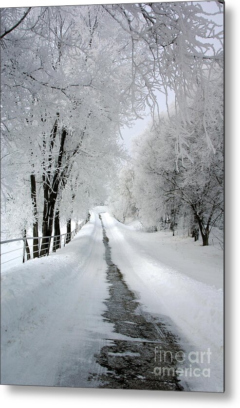 Tinas Captured Moments Metal Print featuring the photograph The Long Frosted Road by Tina Hailey