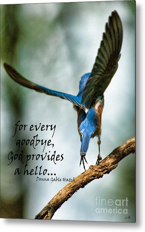 Bluebird Metal Print featuring the photograph God will Provide a Hello by Sandra Clark