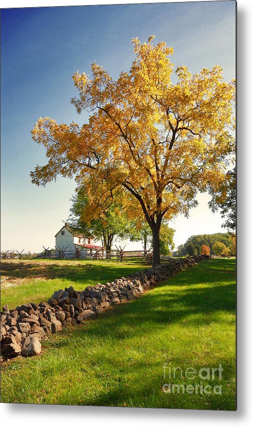 Gettysburg Metal Print featuring the photograph Golden Leaves of Gettysburg by SCB Captures