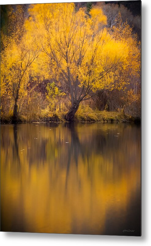 Autumn Metal Print featuring the photograph Golden Pond by Steven Milner