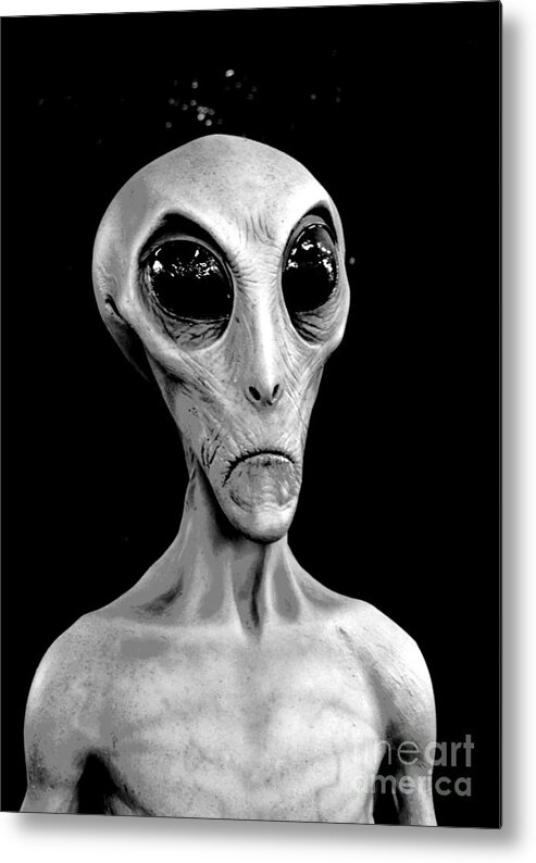 Alien Metal Print featuring the photograph Grey Alien Science Fiction Portrait Black and White Conte Crayon Digital Art by Shawn O'Brien