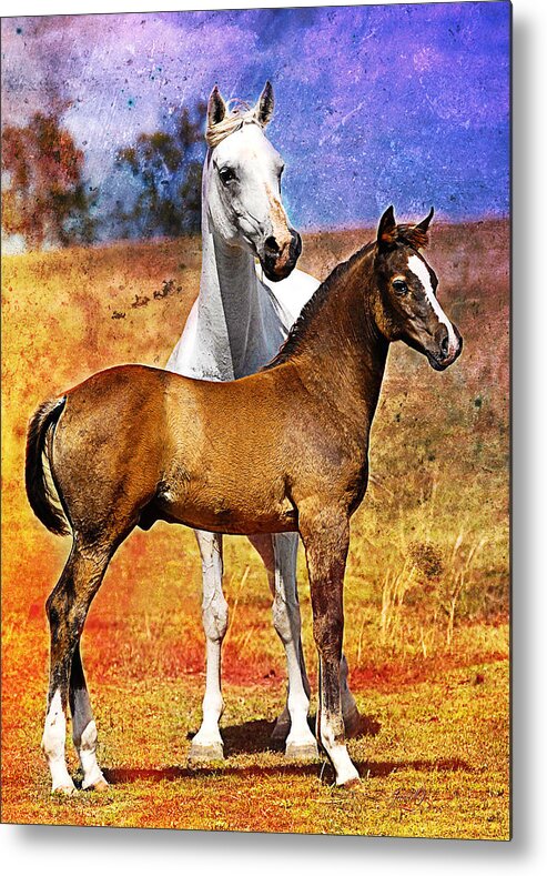 Horse Metal Print featuring the digital art Grey Arabian Mare and Colt by Janice OConnor