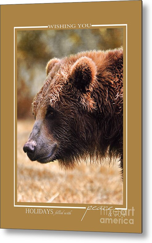 Animal Christmas Cards Metal Print featuring the photograph Grizzly Bear Wildlife Christmas Cards by Jai Johnson