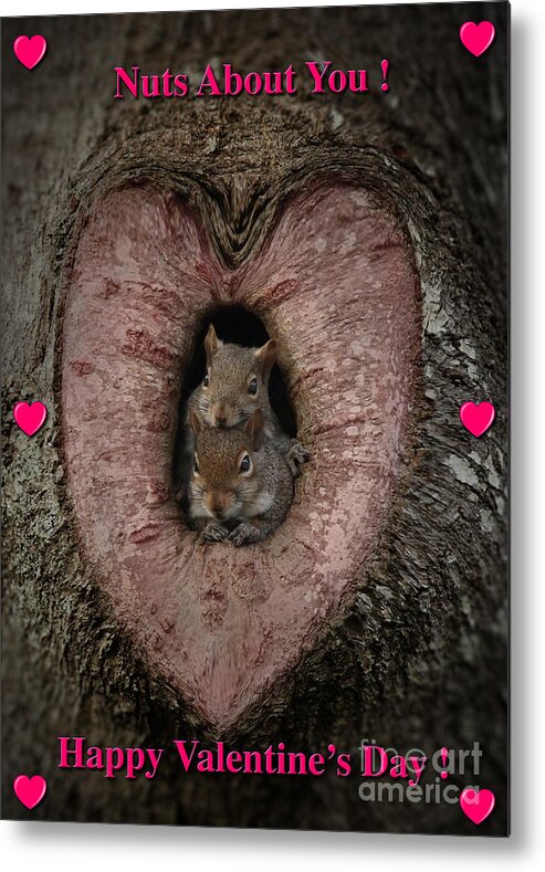 Valentine's Metal Print featuring the photograph Happy Valentine Squirrels by D Wallace