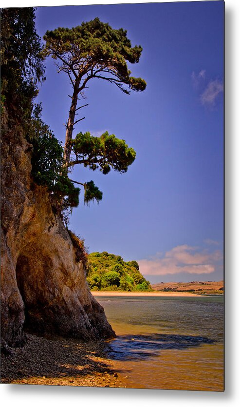 Beach Metal Print featuring the photograph Heart's Desire Beach by Janis Knight