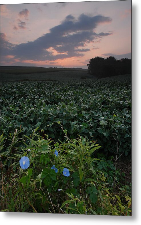  Metal Print featuring the photograph Heavenly Blue by Gregory Blank