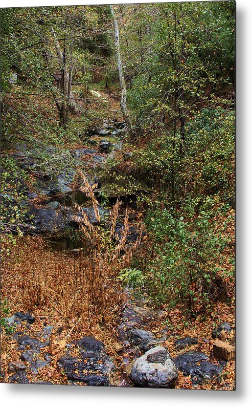 Hidden Creek In Silverado Canyon Metal Print featuring the photograph Hidden Creek In Silverado Canyon by Viktor Savchenko