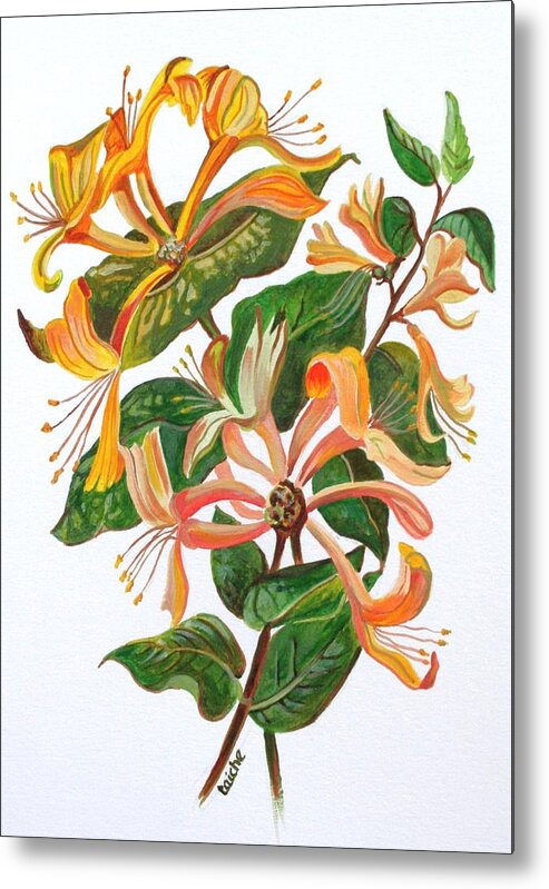 Honeysuckles Metal Print featuring the painting Honeysuckle by Taiche Acrylic Art