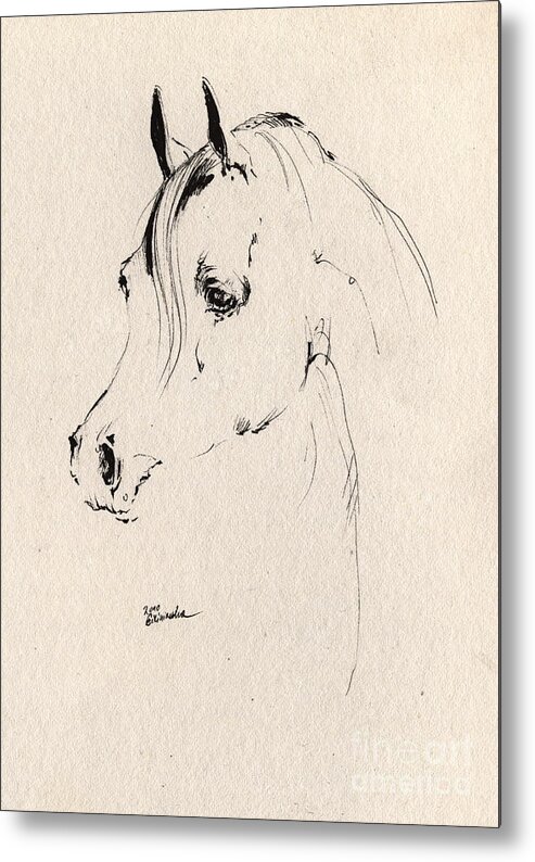 Horse Metal Print featuring the drawing Horse Head Sketch by Ang El