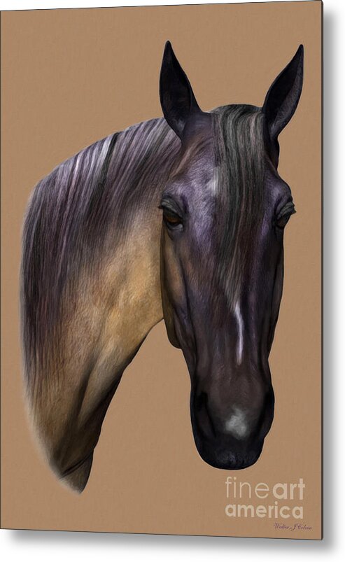 Horse Metal Print featuring the digital art Horse Portrait by Walter Colvin