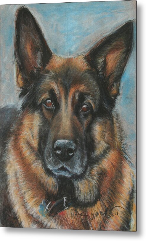 German Shepherd Artwork Metal Print featuring the painting Hussler-German Shepherd Dog by Sciandra 
