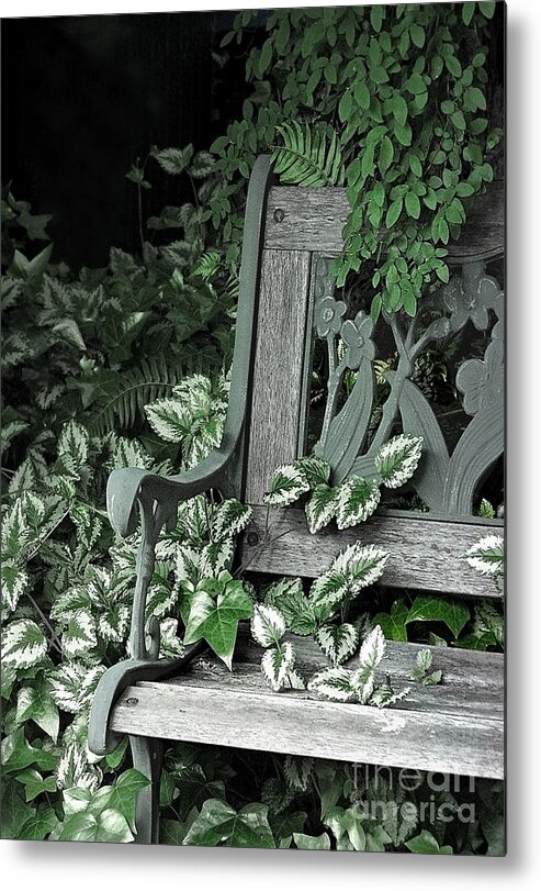 Bench Metal Print featuring the photograph I Cling to the Memories by Ellen Cotton
