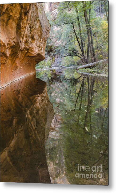 West Fork Metal Print featuring the photograph Iconic by Tamara Becker